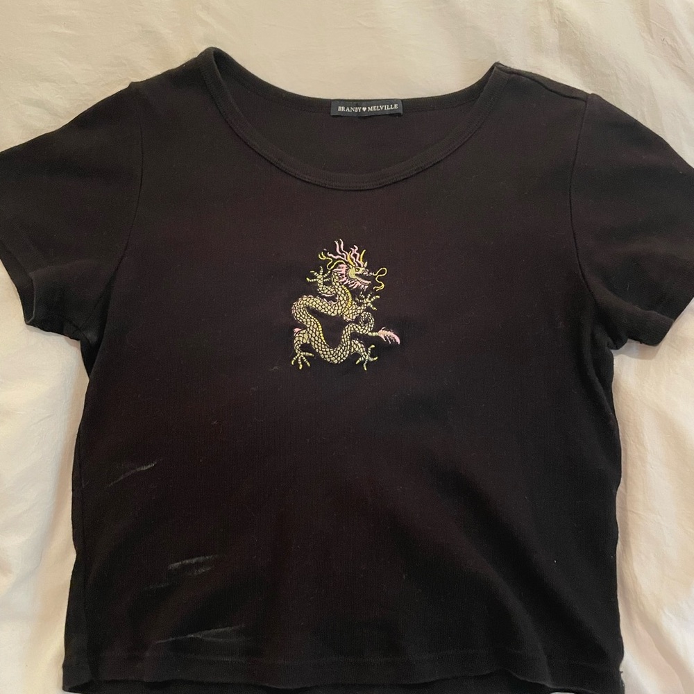 Brandy Melville Crop Top
